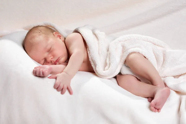 Bebé recién nacido sano de dos semanas de edad durmiendo —  Fotos de Stock