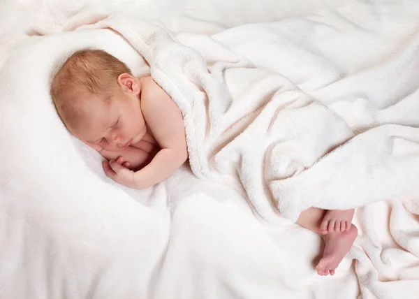 Bebé recién nacido sano de dos semanas de edad durmiendo —  Fotos de Stock