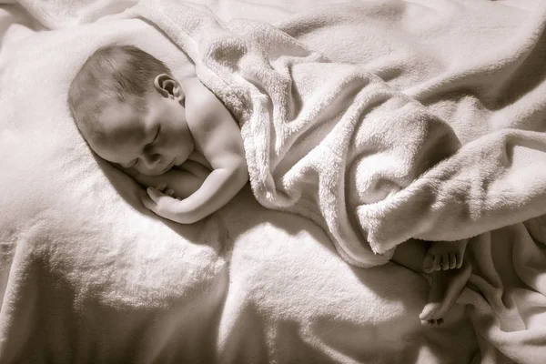 Healthy newborn baby two week old sleeping — Stock Photo, Image