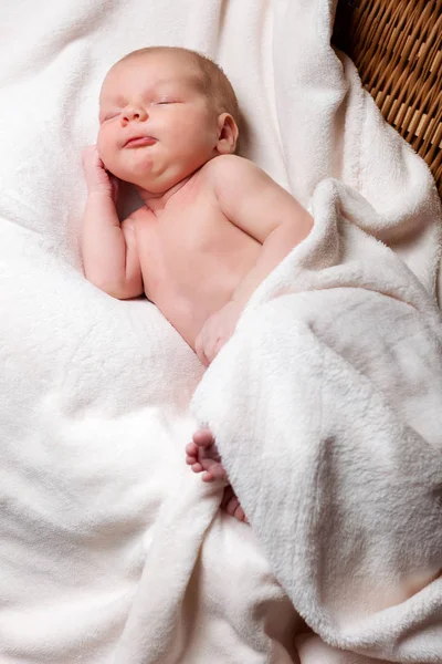 Здоровый новорожденный двухнедельный ребенок спит — стоковое фото