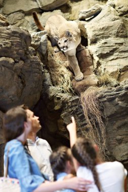 Doğa Müzesi'nde neşeli aile