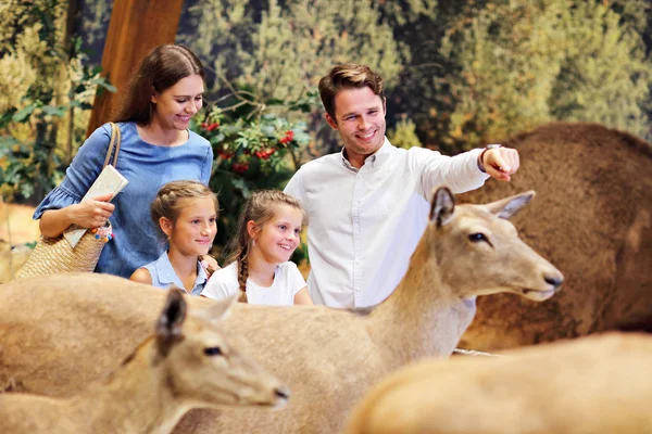 Joyful family in nature museum