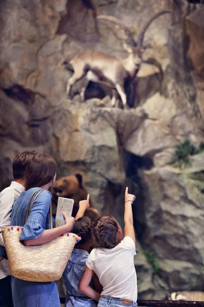 Famiglia allegra nel museo della natura — Foto Stock