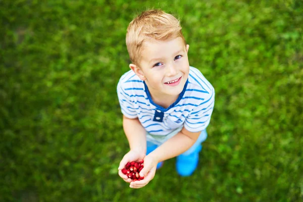 Szczęśliwy 3 rok stary chłopak mający zabawa Holding trochę truskawki — Zdjęcie stockowe
