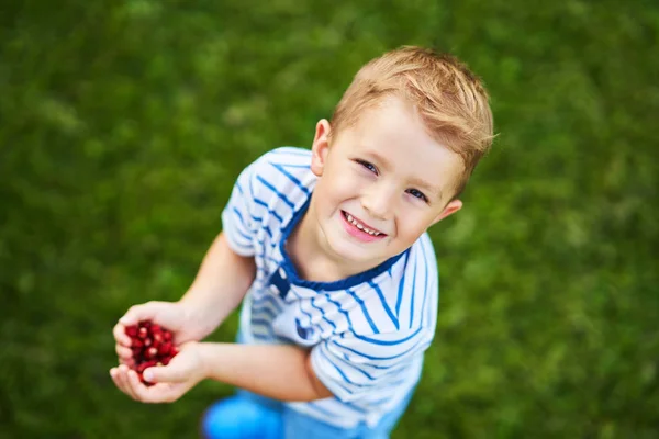 Happy 3 year old boy having fun holding little strawberries — Stock Photo, Image