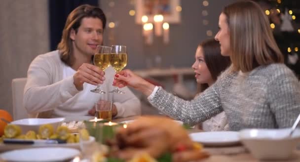 Adult couple toasting wine over Christmas background — Stock Video