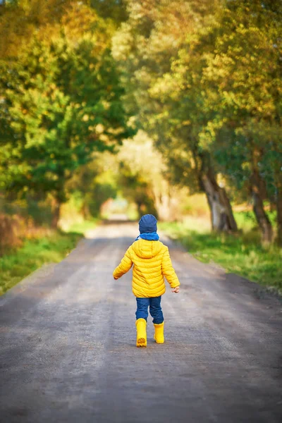 Счастливый мальчик, играющий на улице осенью — стоковое фото