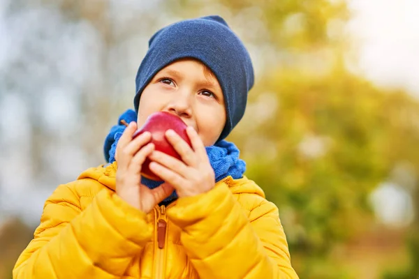 Ragazzo bambino felice che gioca fuori in autunno — Foto Stock