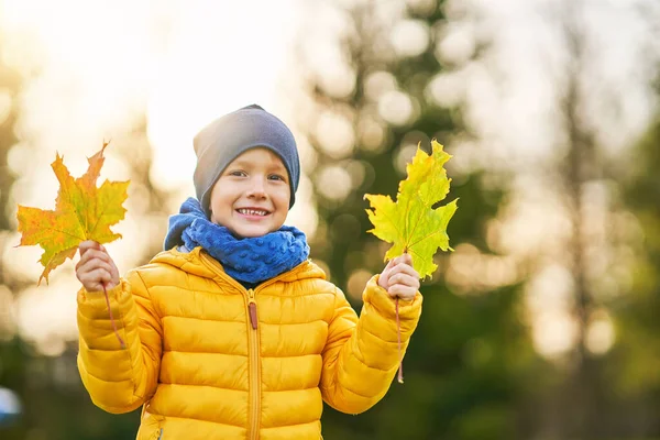 Gelukkig kind jongen spelen buiten in de herfst — Stockfoto