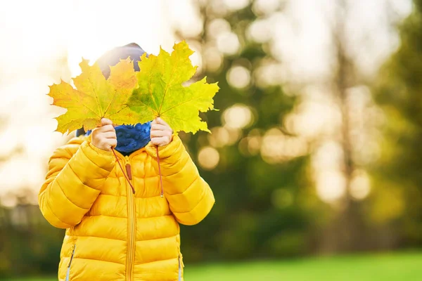 Gelukkig kind jongen spelen buiten in de herfst — Stockfoto