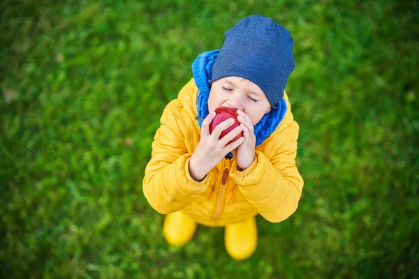 Ragazzo bambino felice che gioca fuori in autunno — Foto Stock