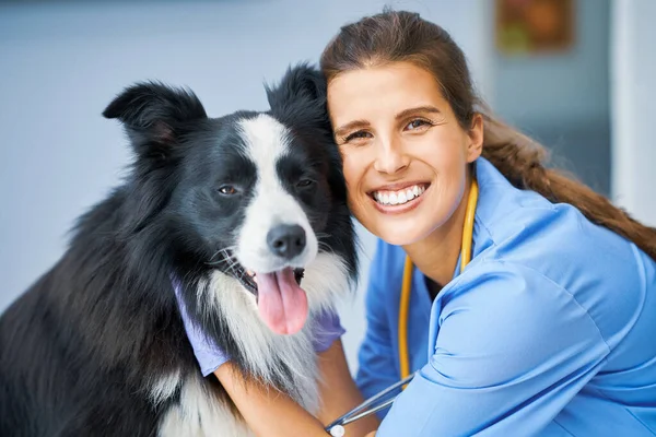 Veterinário feminino examinando um cão na clínica — Fotografia de Stock