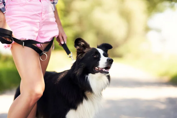Midsection de mujer paseando con su mascota en el ocio — Foto de Stock