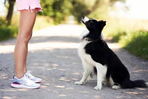 Midsection de mujer paseando con su mascota en el ocio — Foto de Stock