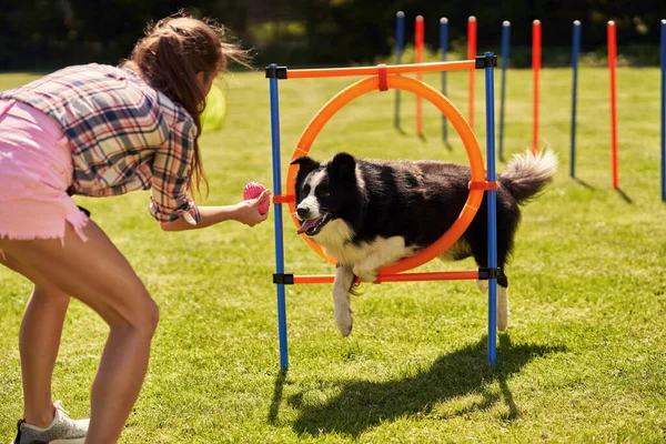 Confine cane collie e una donna su un campo di agilità — Foto Stock