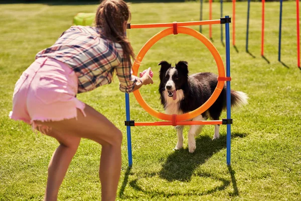 Confine cane collie e una donna su un campo di agilità — Foto Stock