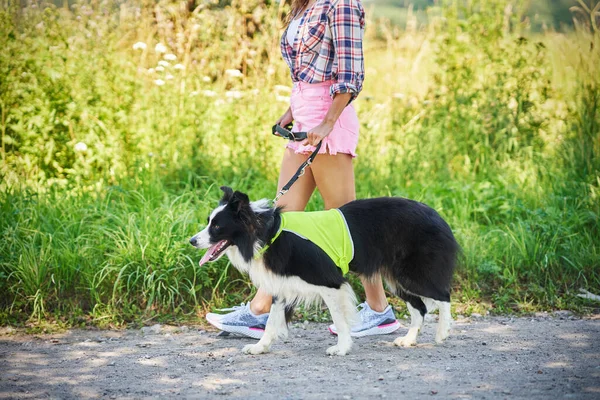 Retrato de mujer feliz paseando a su perro en el ocio — Foto de Stock