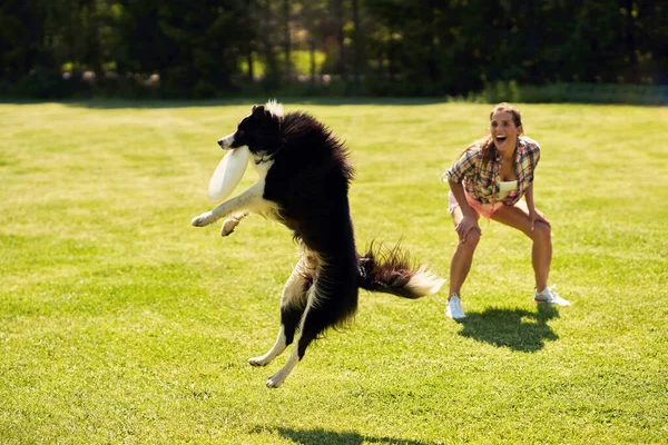 国境の犬と敏捷性フィールド上の女性 — ストック写真