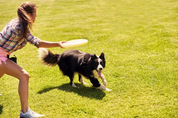Border Collie perro y una mujer en un campo de agilidad — Foto de Stock