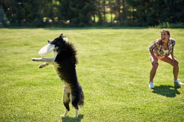 Confine cane collie e una donna su un campo di agilità — Foto Stock