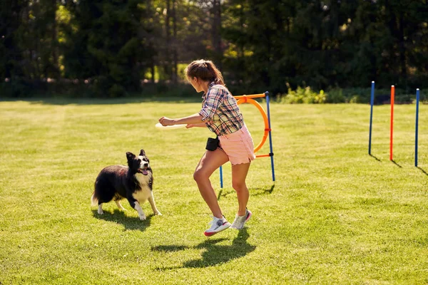 Border Collie Hund und eine Frau auf einem Agility-Feld — Stockfoto