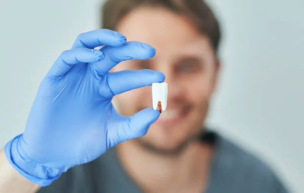 Odontólogo masculino mostrando mandíbula y dientes a la cámara — Foto de Stock