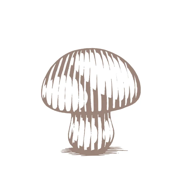 Ilustración Brown Vectorized Ink Sketch Mushroom Aislado Sobre Fondo Blanco — Archivo Imágenes Vectoriales