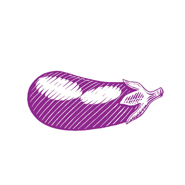 Illustratie Van Paarse Gebruiksspel Ink Schets Van Aubergine Geïsoleerd Een — Stockvector