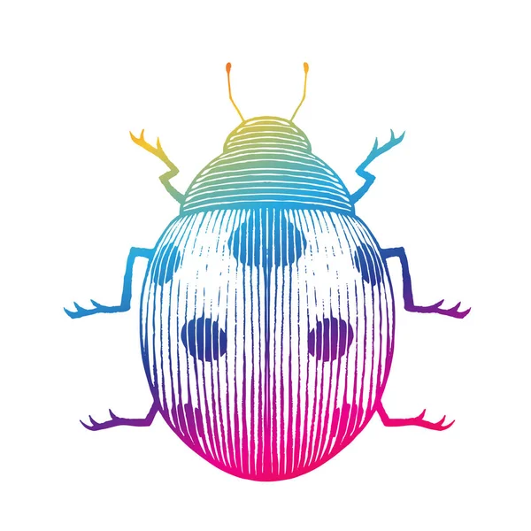Иллюстрация Rainbow Colored Vectorized Ink Sketch Ladybug Изолирована Белом Фоне — стоковый вектор