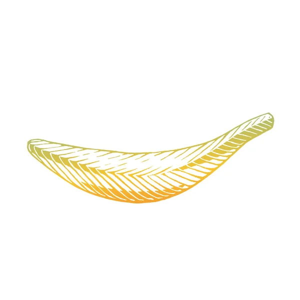 Ilustração Tinta Vetorizada Amarela Esboço Banana Isolado Fundo Branco — Vetor de Stock