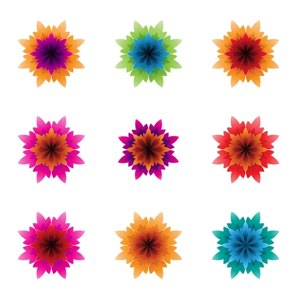 Färgglada ljusa blommor med taggiga kronblad vektor illustration — Stock vektor