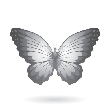 renkli kelebek çizimi