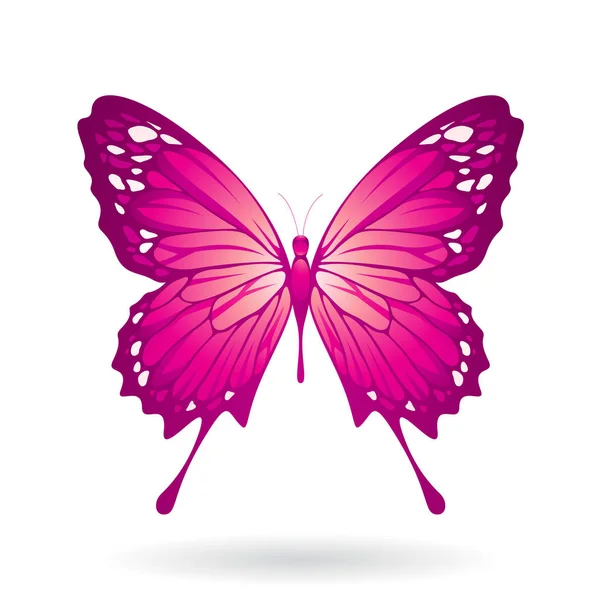 Colorful Butterfly Illustration — Stock Photo, Image