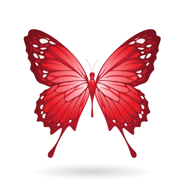 Colorful Butterfly Illustration — Stock Photo, Image