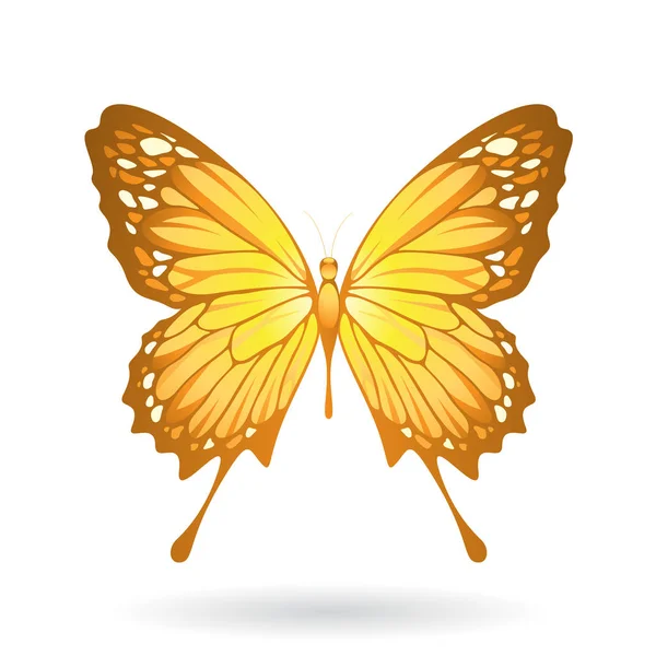 Ilustración de mariposa colorida — Foto de Stock