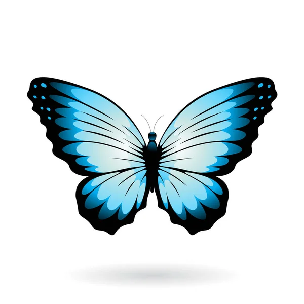 Bunte Schmetterling Illustration — Stockfoto