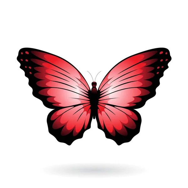 Bunte Schmetterling Illustration — Stockfoto