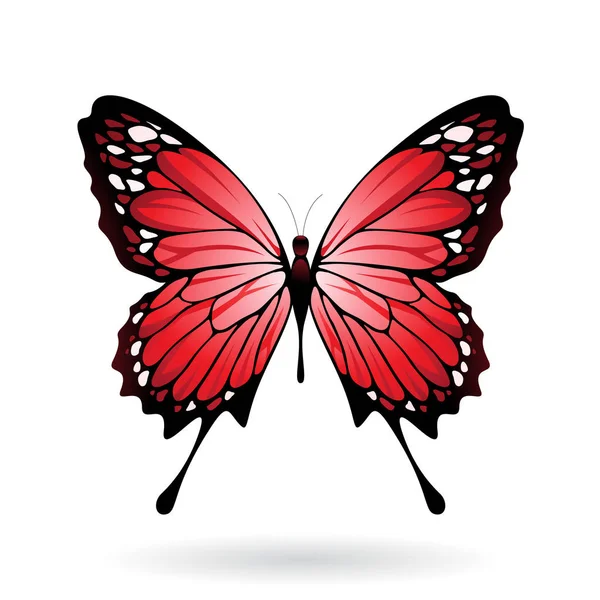 Красочная иллюстрация бабочки — стоковое фото