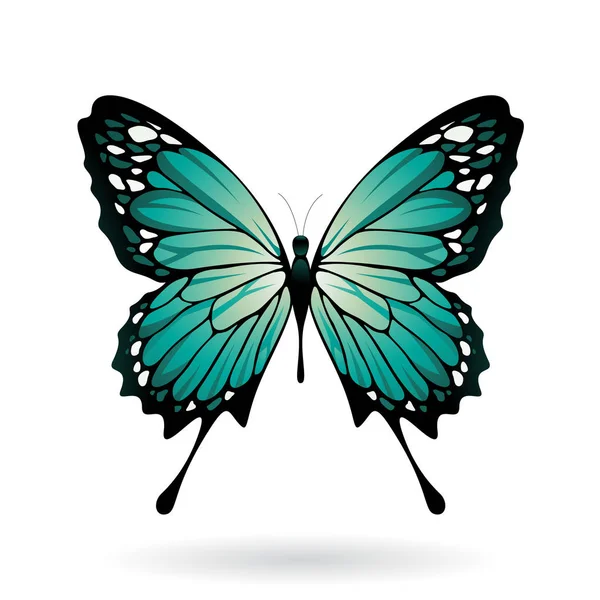 Ilustración de mariposa colorida — Foto de Stock