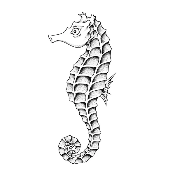 Cavalo marinho  Seahorse tattoo, Seahorse drawing, Animal drawings