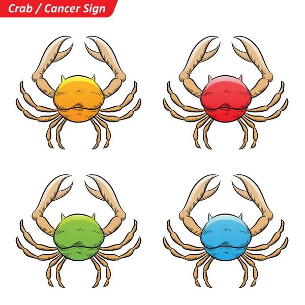 Colorful Cancer Zodiac Star Signs Sketch — Stock Photo, Image