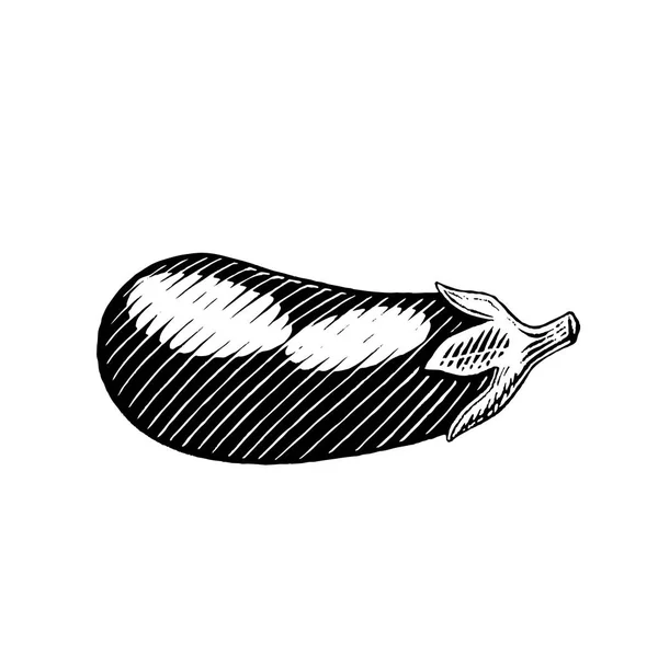 Inkt schets van een aubergine — Stockfoto