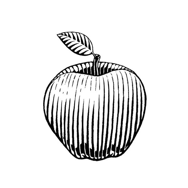 Desenho de tinta de uma maçã — Fotografia de Stock