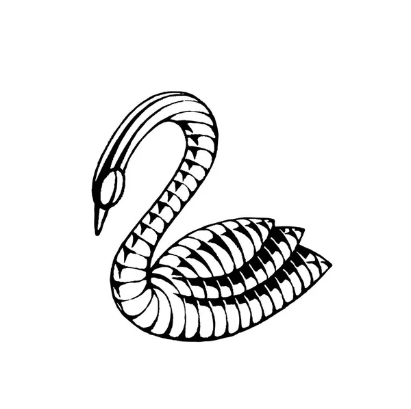 Desenho de tinta de um cisne — Fotografia de Stock