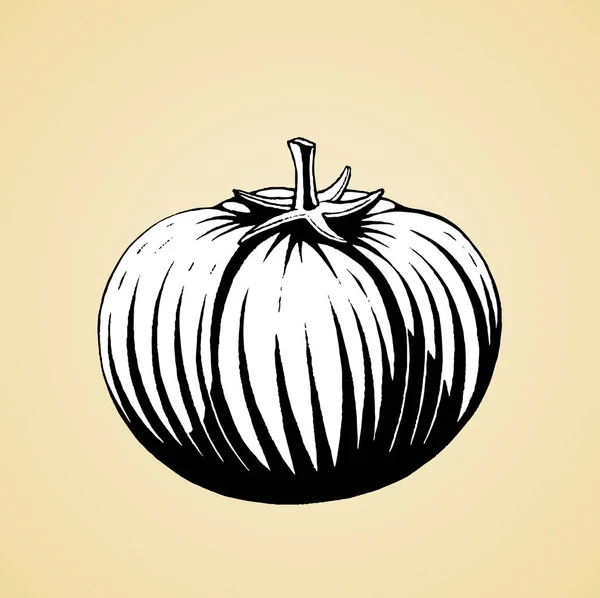 Bläck skiss av en tomat med vit fyllning — Stockfoto