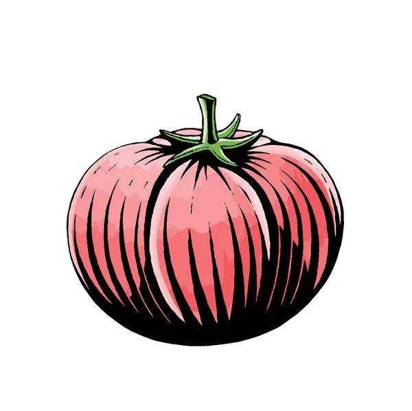 Tinta e Aquarela Esboço de um Tomate — Fotografia de Stock