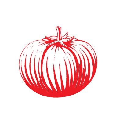 Domates İllüstrasyon Kırmızı Mürekkep Kroki