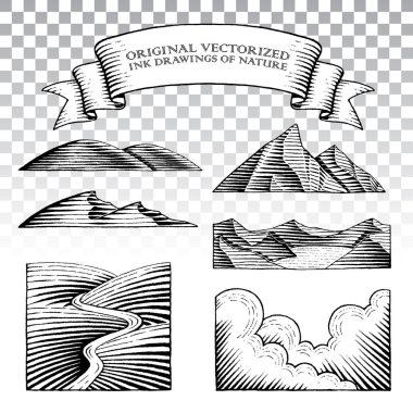 Doğanın scratchboard tarzı mürekkep çizimleri