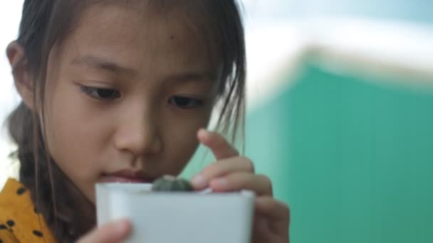 Yetiştirici Pota Küçük Kaktüs Dikkat Çekmek — Stok video