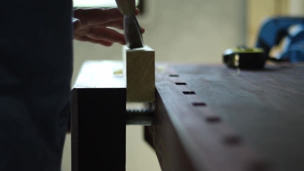 Wood Workbench Vises — Stock Video